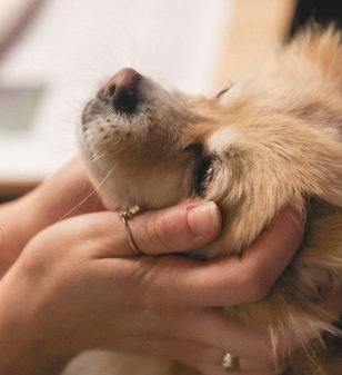 The Commons Premium Coworking Spaces Melbourne & Sydney